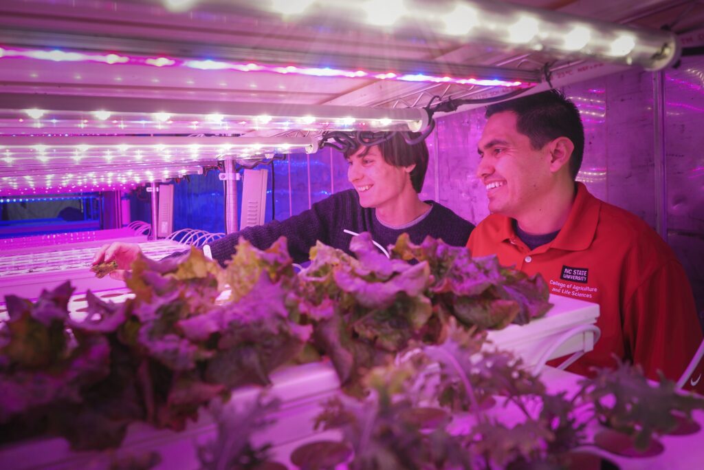 Image shows a male researcher and a male student smiling as they inspect leafy greens under violet colored grow lights.