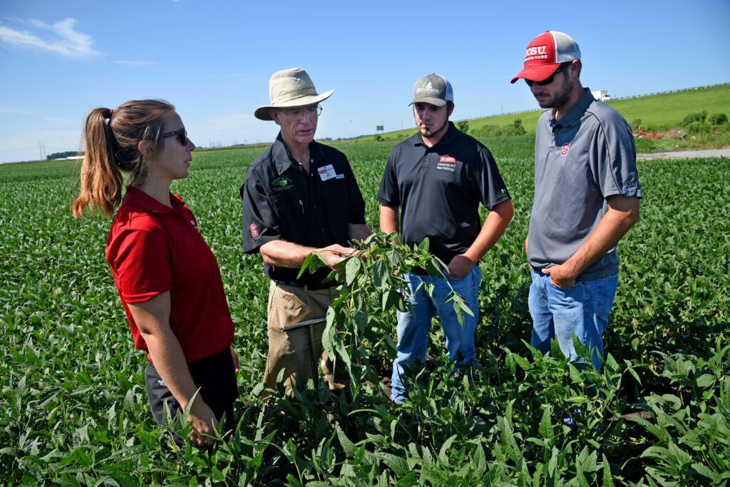 Image shows four people (three students and one Extension agent) standing in a soy bean field looking at a soy bean plant that the Extension agent is holding.